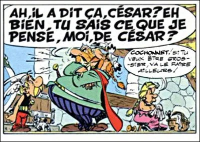 Une anecdote macabre : plus d'une centaine de bêtes d'un élevage industriel sont décédées asphyxiées par leur propres émanations gazeuses. Lesquelles ?