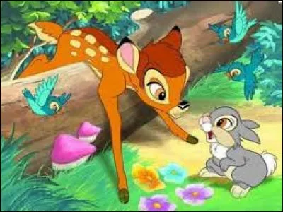 Quel animal est "Pan-Pan" dans le film "Bambi" ?