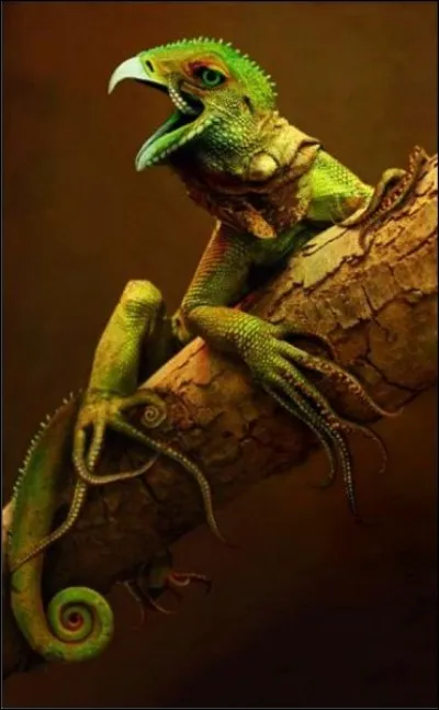 Cet oiseau existe-t-il ?