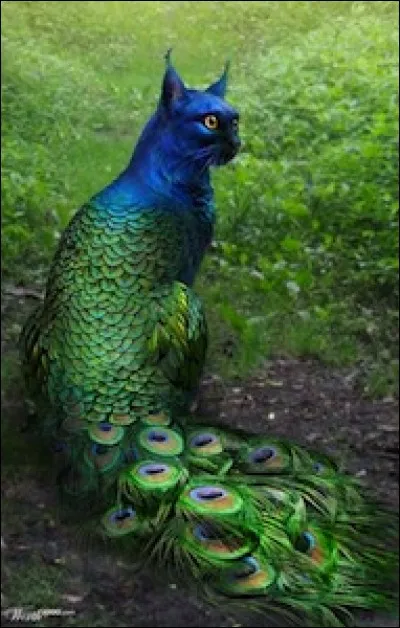 Cet oiseau existe-t-il ?