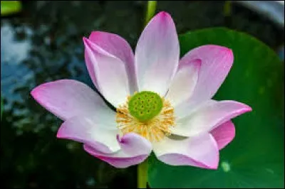 Marquer un document de sa signature ou de ses initiales : para...