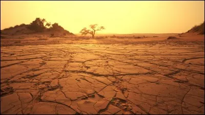 Pourquoi veut-on l'interdire ?