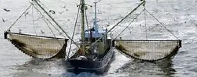 Quel est le pays européen possédant le plus de chalutiers équipés d'un chalut à perche électrique ?