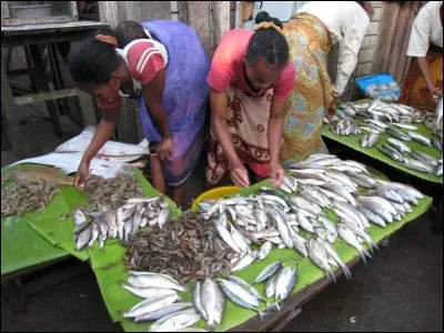 La pêche électrique abîme-t-elle la chair ?