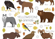 Quiz Les animaux du parc de Yellowstone