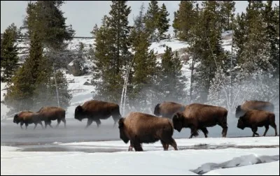 On va continuer plutôt facile, pour vous faire oublier la réponse précédente !