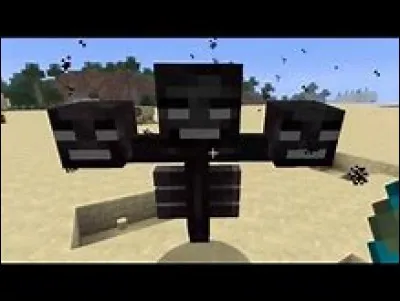 Comment tuer l'Ender Dragon facilement et bizarrement ?