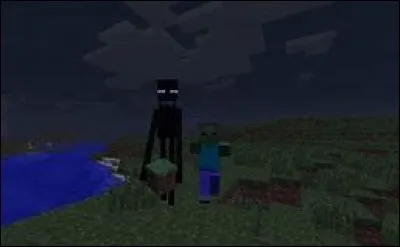 Comment regarder un enderman dans les yeux sans qu'il ne
s'énerve ?