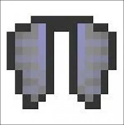 Comment faire pour avoir les élytres ?