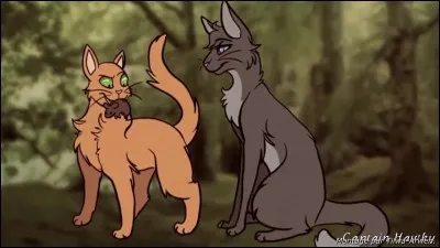 A-t-il eu un(e) apprenti(e) ?