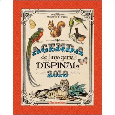 Dans quel département se situe Épinal ?