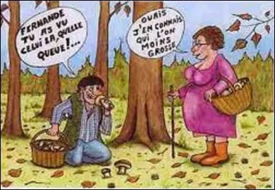 Nature : 
Parmi ces trois champignons, lequel est mortel ?