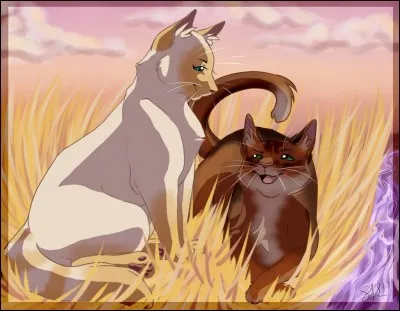 Qui était le compagnon d'Étoile de Lune ?