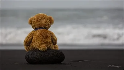 Quel auteur am&eacute;ricain, &agrave; qui l'on doit notamment "Les Neiges du Kilimandjaro" et "Pour qui sonne le glas", a &eacute;crit "L'Adieu aux armes" en 1929 ?