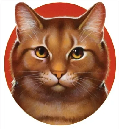 Qu'était le nom d'apprentie de Feuille de Lune ?