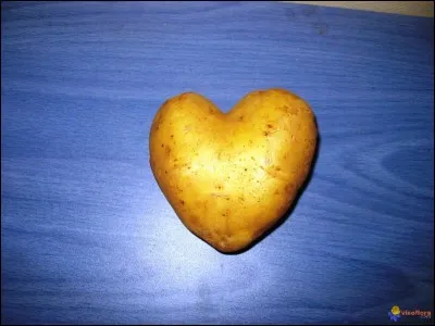 La patate est plus souvent...