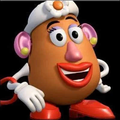 &Agrave; quelle famille appartiennent les patates ?