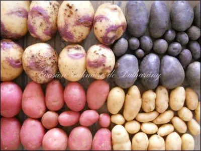 Laquelle de ces vari&eacute;t&eacute;s de patates n'existe pas ?