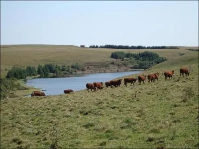 Parmi ces diffrents lacs, lequel dispose d'un barrage hydraulique ?