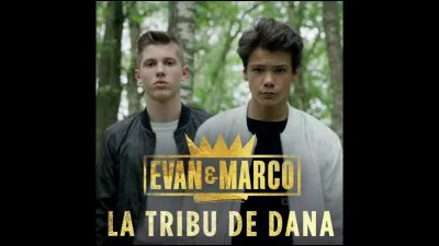 Combien mesurent-ils ?