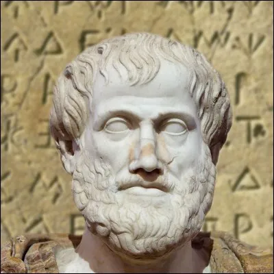 Il est l'un des rares à avoir abordé presque tous les domaines de connaissance de son temps : biologie, physique, métaphysique, logique, poétique, politique, rhétorique.