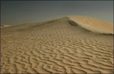 Que se passe-t-il si on marche sur du sable mouvant ?