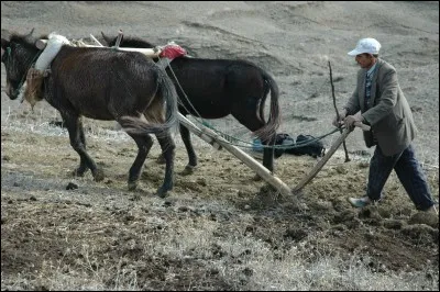 Casse-croûte, c'est...