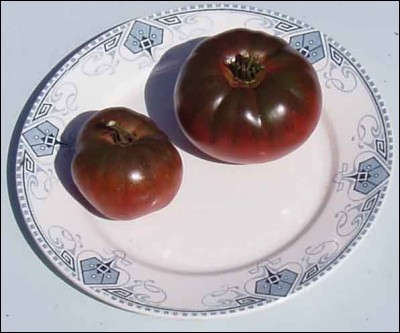Celui-ci est presque le plus connu de ceux qui restaient dans l'ombre, depuis quelques temps. Quelle est cette variété de tomates ?