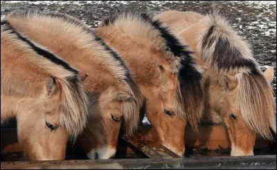 Aime-t-il la compagnie?