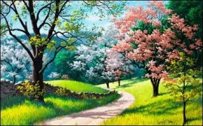 Quelle image préfères-tu ?