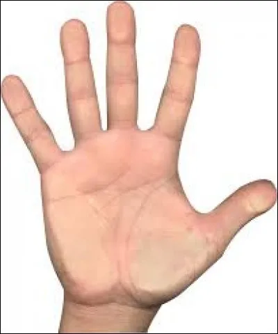 Avec quel doigt écris-tu sur l'écran ?