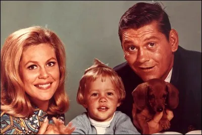 Quelle est série télévisée ?