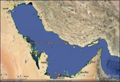 Au Moyen-Orient, se trouve le ____ persique.