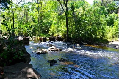 Elles se promènent dans une...
