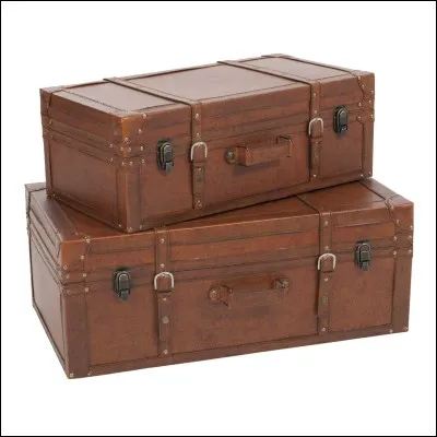 Elles ont rangé leurs affaires dans des...