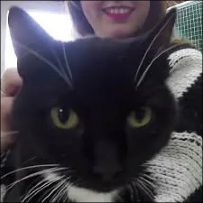 Quel pouvoir préfères-tu ?