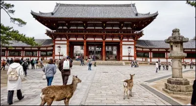 Elle était, au VIIIe siècle, avant la ville précédente, capitale du Japon. Quelle est cette ville ?