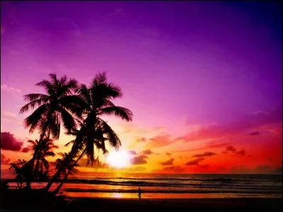 Regardez ce super coucher de s__leil.