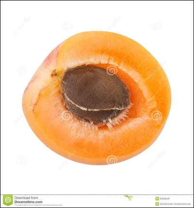 Fais attention, il y a un noy__ dans ce fruit.