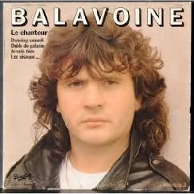 "Le chanteur" de Daniel Balavoine.