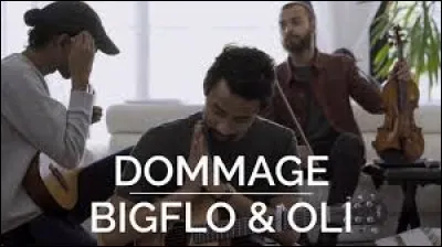 "Dommage" par Bigflo & Oli.
