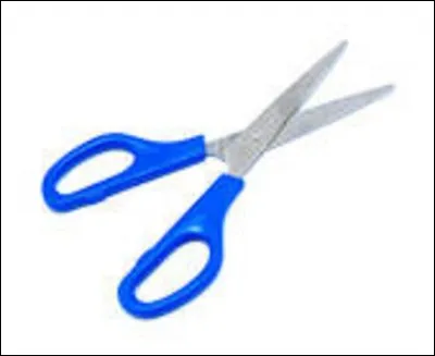 Peux-tu me pr&ecirc;ter tes cis__x afin que je coupe ma feuille.