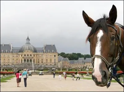 C´est le fameux château de ...