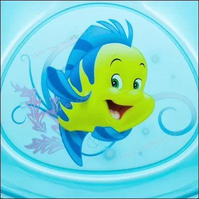 Comment se prénomme ce poisson ?