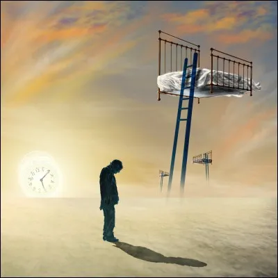 Tu es très stressé et tu n'arrives pas à dormir car demain, tu vas à un événement très important, que fais-tu ?