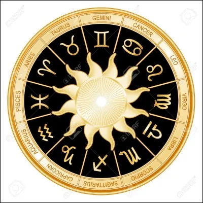 Mon signe astrologique est gém__x.