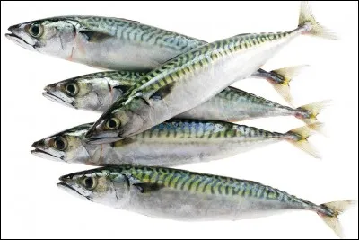 J'adore le maquer__.