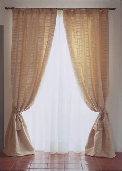 Le chat a déchiré le rid__.