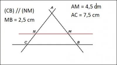 Quelle est la longueur AN ?