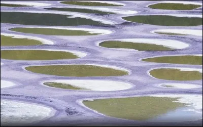 Dans quel pays le lac Spotted est-il situ&eacute; ?